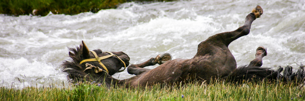 Tibet IMG 6073